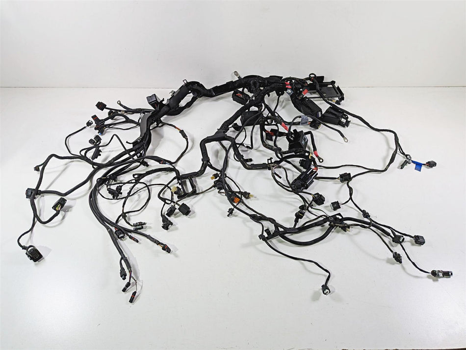 2020 BMW R1250GS K51 Adventure Main & Engine Wiring Harness No Cuts 61119480785