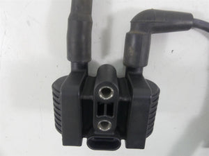 2007 Harley Sportster XL1200 Nightster Ignition Coil Wires & Plugs 31656-07
