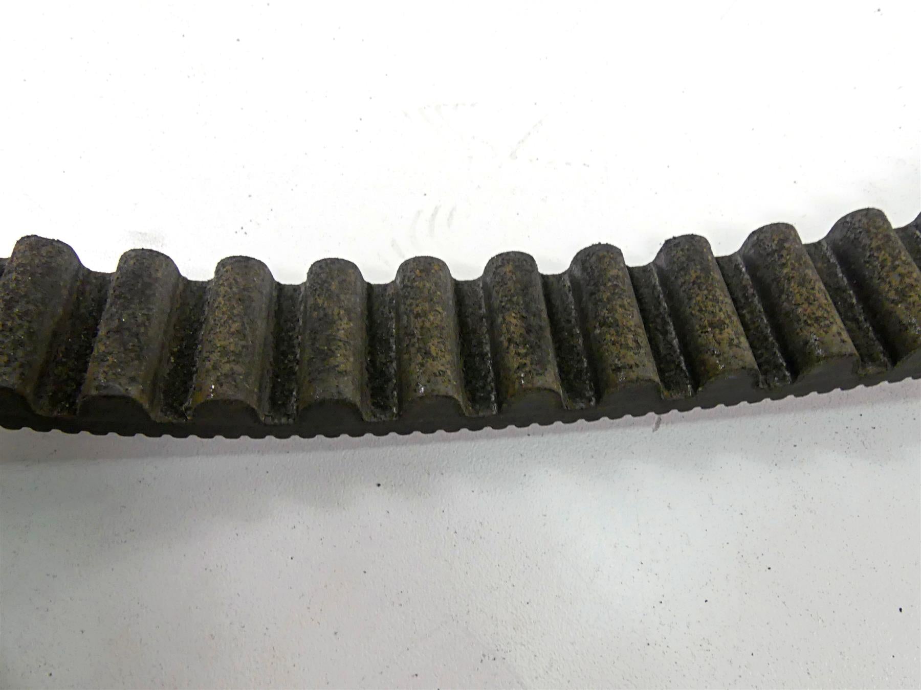 2009 Harley XR1200 Sportster Rear Main Drive Belt 137T 1" 40591-07 {{ shop.shopifyCountryName }} - Mototech271