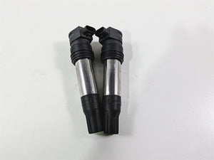 2019 BMW R1250RT K52 Eldor Ignition Coil Set 12138567157
