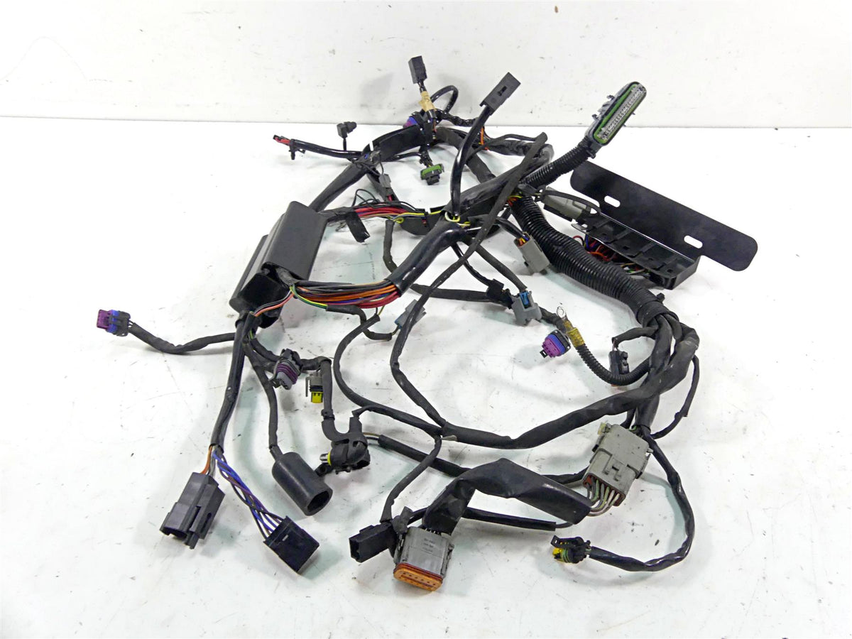 2006 Harley Softail FXSTSI Springer Efi Wiring Harness Loom - No Cuts 70431-06 {{ shop.shopifyCountryName }} - Mototech271