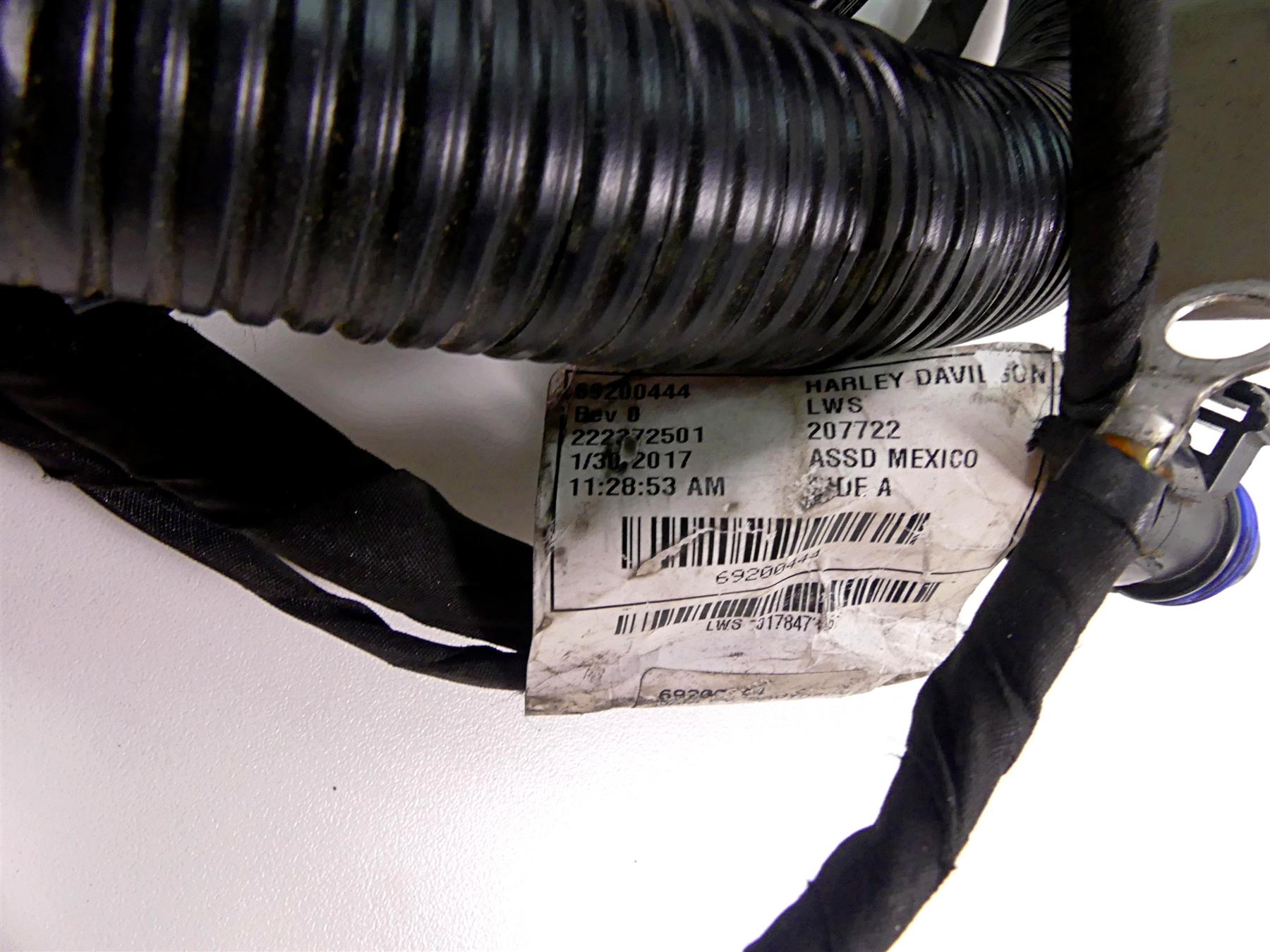 2017 Harley Dyna FXDB Street Bob Main Non Abs Wiring Harness Loom 69200444 {{ shop.shopifyCountryName }} - Mototech271