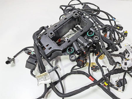 2019 Ducati Panigale V4S V4 S Corse Wiring Harness Loom Set 5101C381G 69929711A {{ shop.shopifyCountryName }} - Mototech271