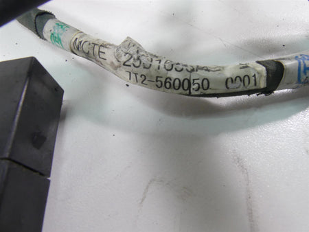 2006 Triumph Daytona 675 Main Wiring Harness Loom -For Parts -Read T2501668 {{ shop.shopifyCountryName }} - Mototech271