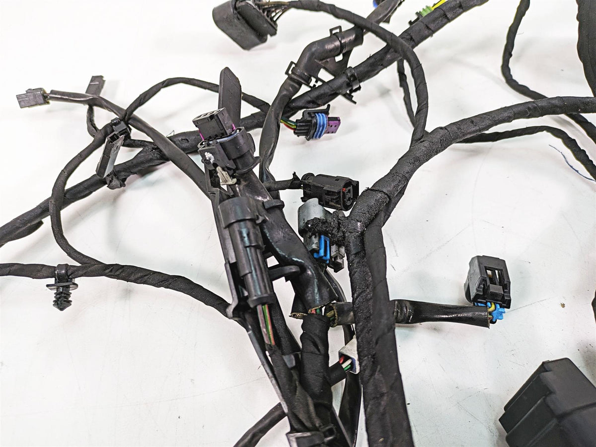 2020 Harley Softail FXBB Street Bob Main Wiring Harness No Abs - Read 69201492 {{ shop.shopifyCountryName }} - Mototech271