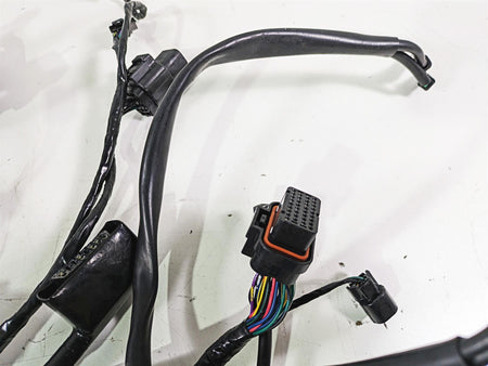 2023 Triumph Street Triple 765 RS Main Wiring Harness Loom - No Cuts T2507125 {{ shop.shopifyCountryName }} - Mototech271
