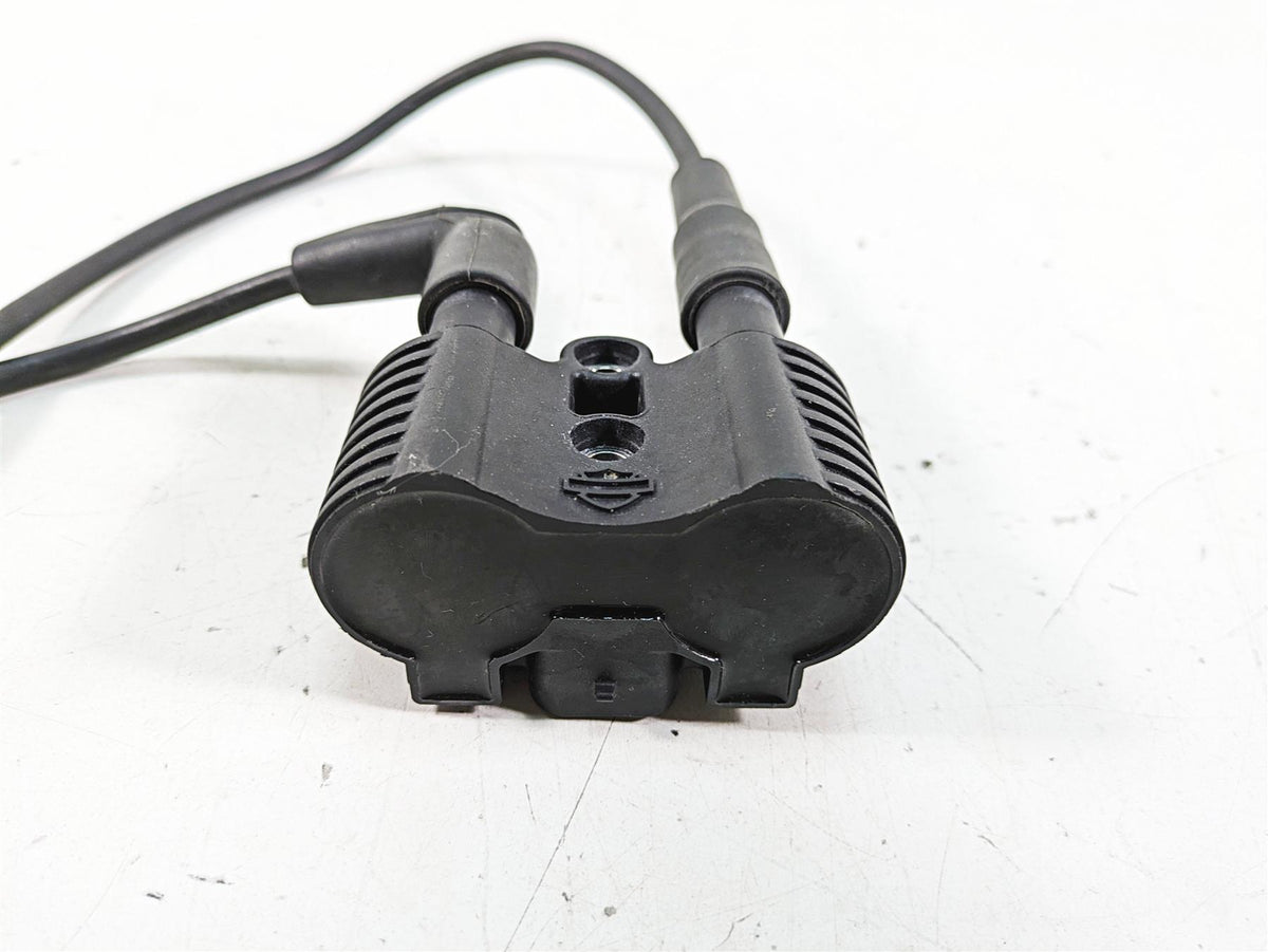 2019 Harley XL883N Sportster Iron Ignition Coil Wires & Plugs 31656-07 {{ shop.shopifyCountryName }} - Mototech271