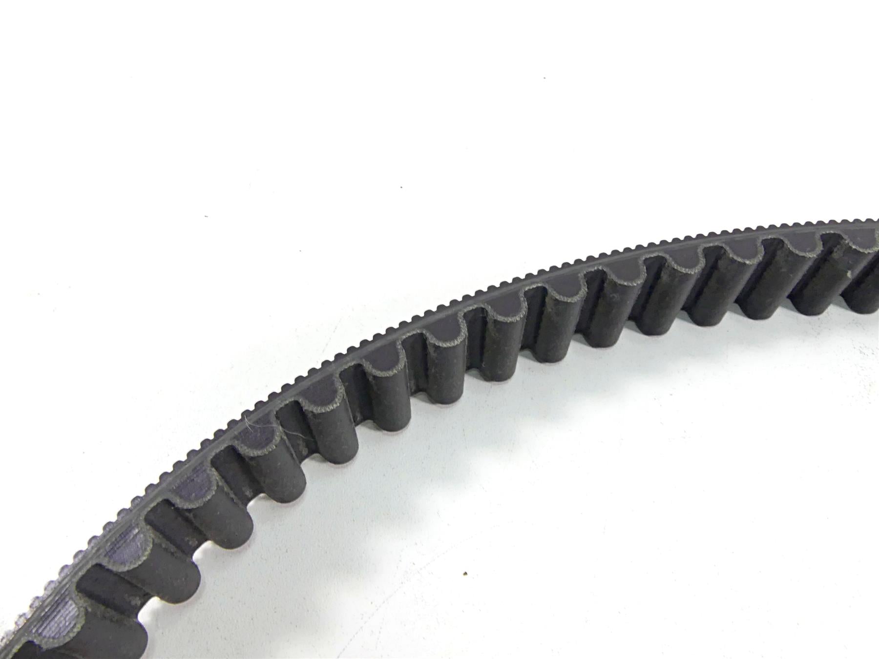 2010 Harley FXDF Dyna Fat Bob Nice Rear Drive Belt 131T 1" 40046-07 {{ shop.shopifyCountryName }} - Mototech271