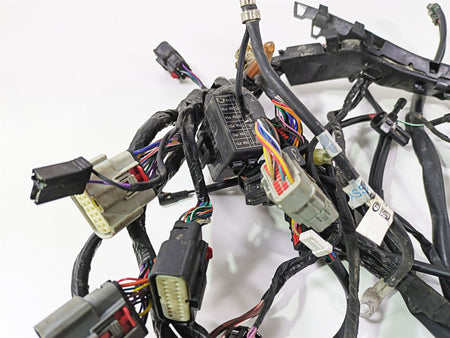 2024 Triumph Tiger 900 GT Main Wiring Harness Loom - No Cut T2507820 T2502370 {{ shop.shopifyCountryName }} - Mototech271