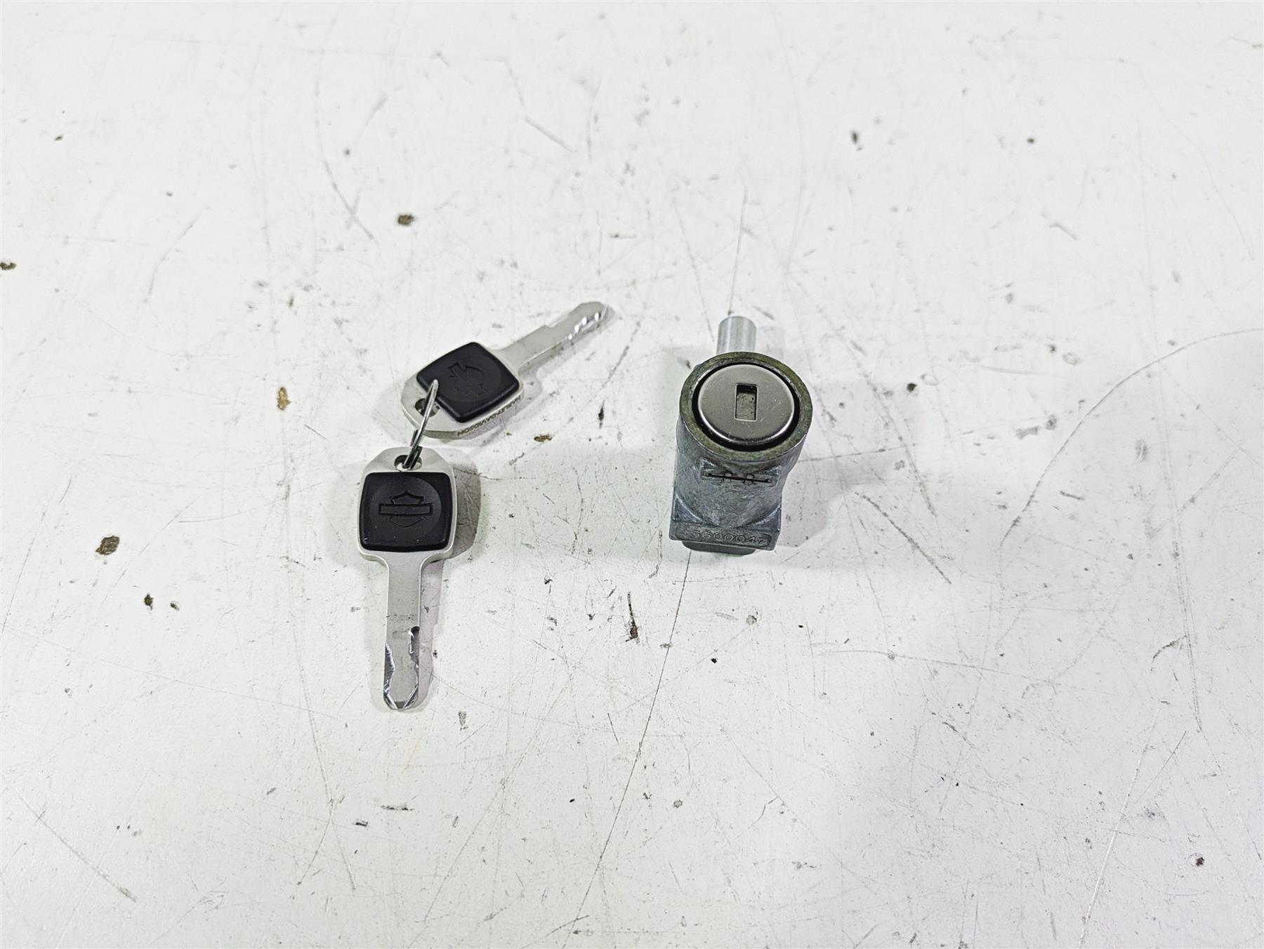 2021 Harley Softail FLSL Slim Steering Key Lock Set 45600049