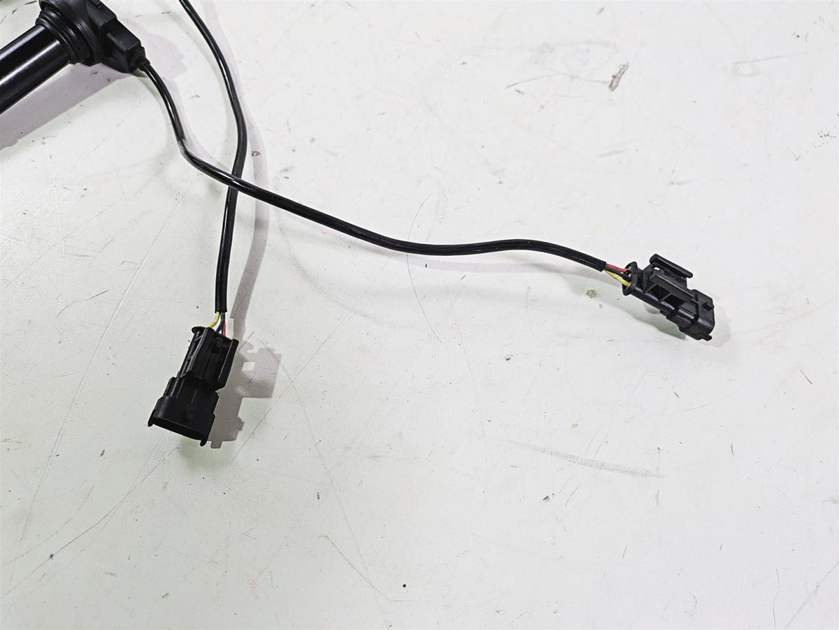2018 Ducati Hypermotard 939 SP Beru Ignition Coil Set 38010145B {{ shop.shopifyCountryName }} - Mototech271