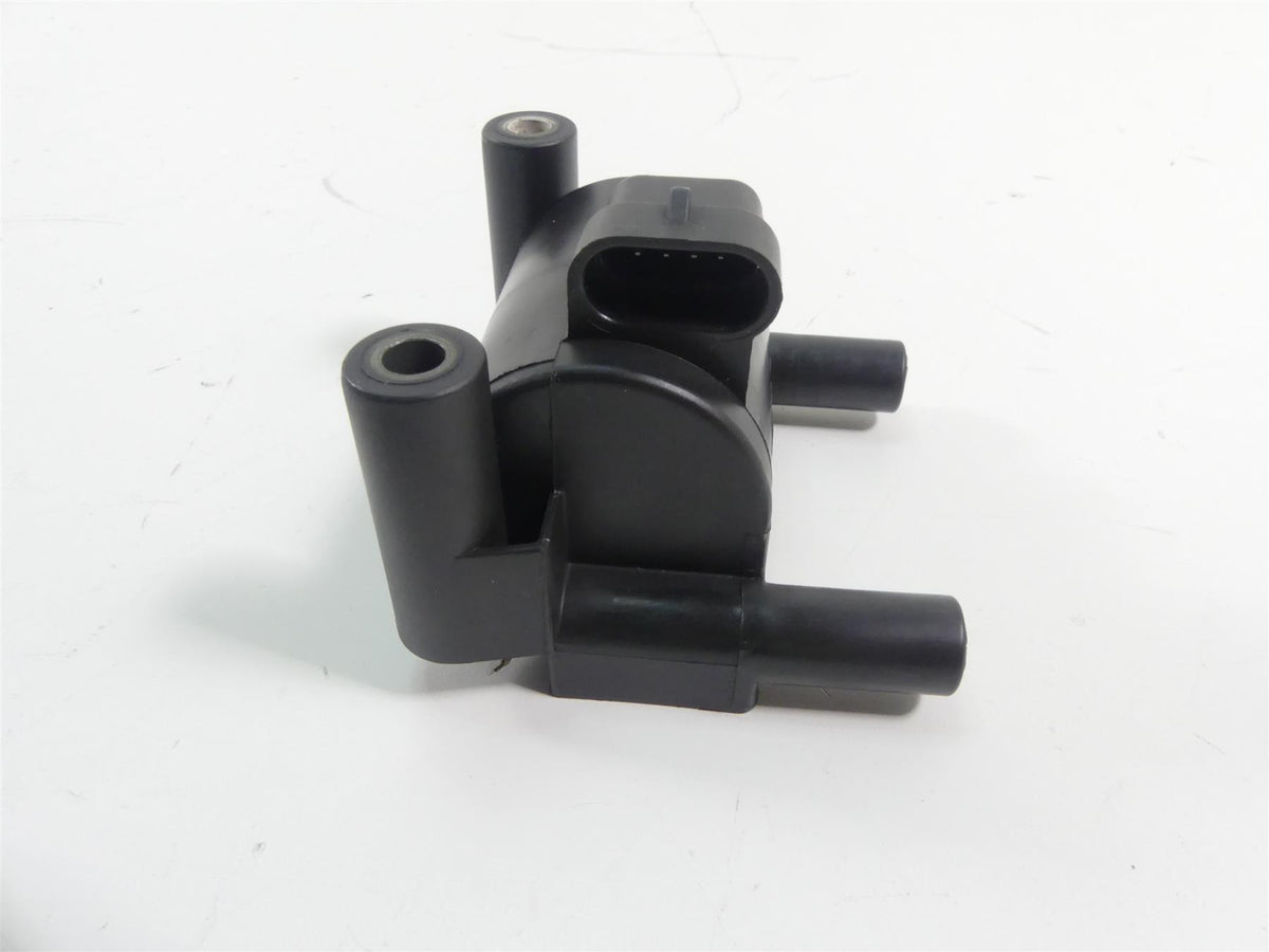 2013 Harley FXDWG Dyna Wide Glide Delphi Ignition Coil & Wires & plugs 31696-07 {{ shop.shopifyCountryName }} - Mototech271