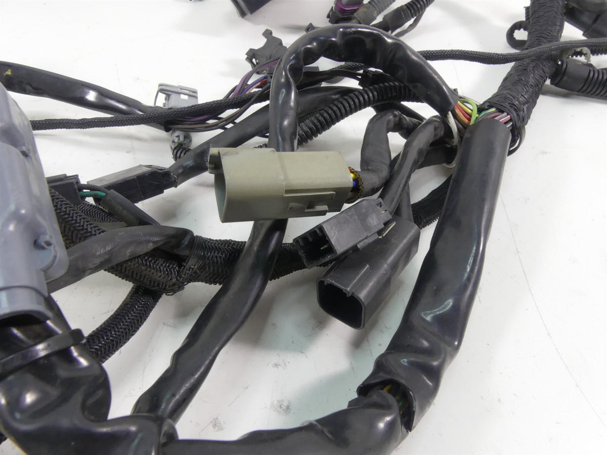 2006 Harley VRSCD Night V Rod Main & Engine Wiring Harness - No Cuts 70125-06 {{ shop.shopifyCountryName }} - Mototech271