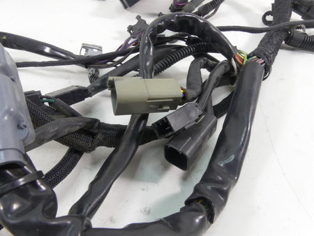 2006 Harley VRSCD Night V Rod Main & Engine Wiring Harness - No Cuts 70125-06 {{ shop.shopifyCountryName }} - Mototech271
