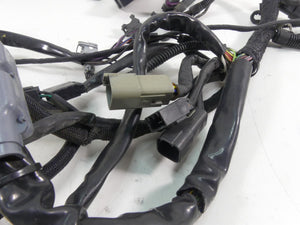 2006 Harley VRSCD Night V Rod Main & Engine Wiring Harness - No Cuts 70125-06