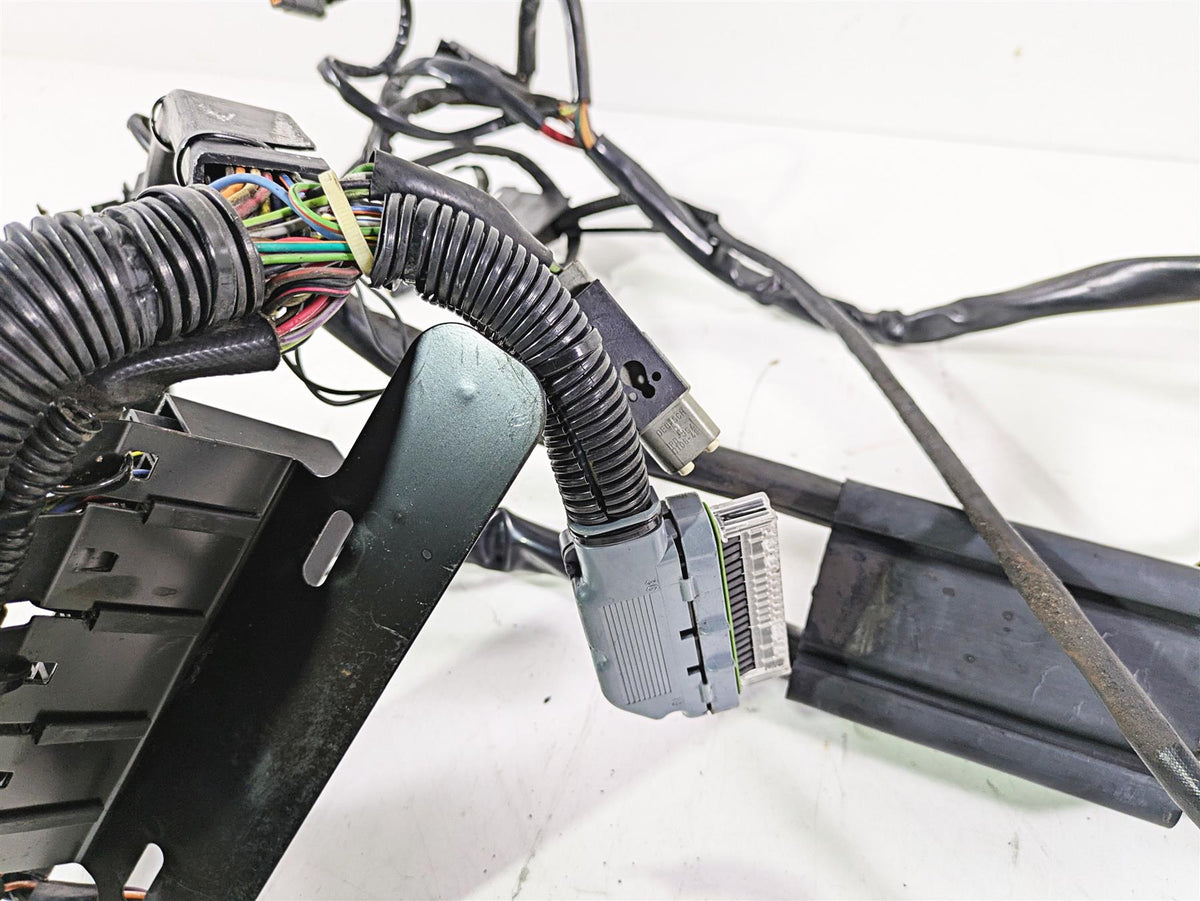 2004 Harley FLSTCI Softail Heritage Wiring Harness Loom EFI 70431-04 {{ shop.shopifyCountryName }} - Mototech271