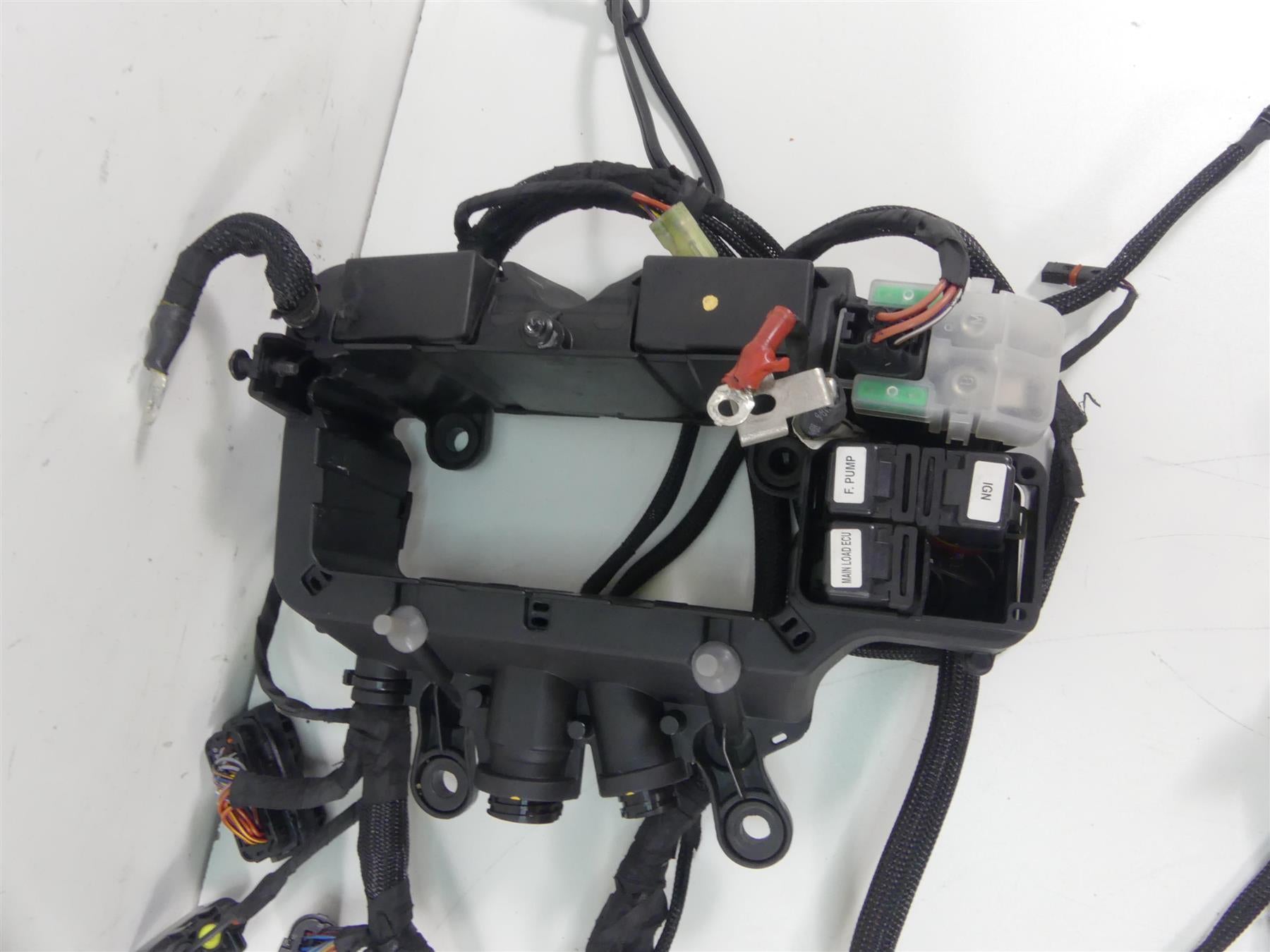 2018 Ducati Panigale 1100 V4 S Wiring Harness Loom Set 5101C371E 5101C381E {{ shop.shopifyCountryName }} - Mototech271