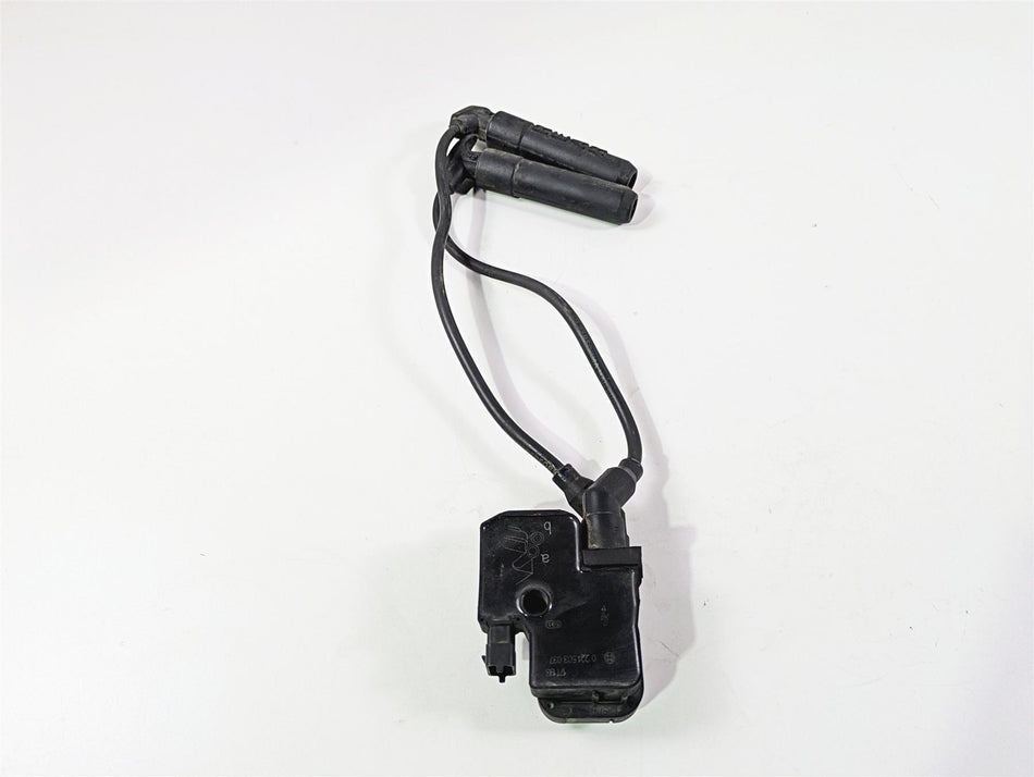 2018 Indian Springfield Dark Horse Ignition Coil Wires Plugs 4080060 2876049 {{ shop.shopifyCountryName }} - Mototech271