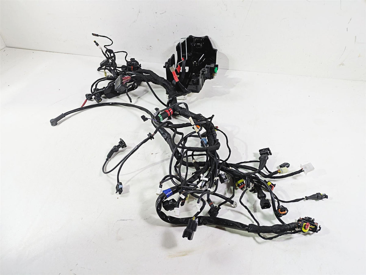 2022 Ducati Scrambler Desert Sled Main Wiring Harness Loom - Read 5101E241C {{ shop.shopifyCountryName }} - Mototech271