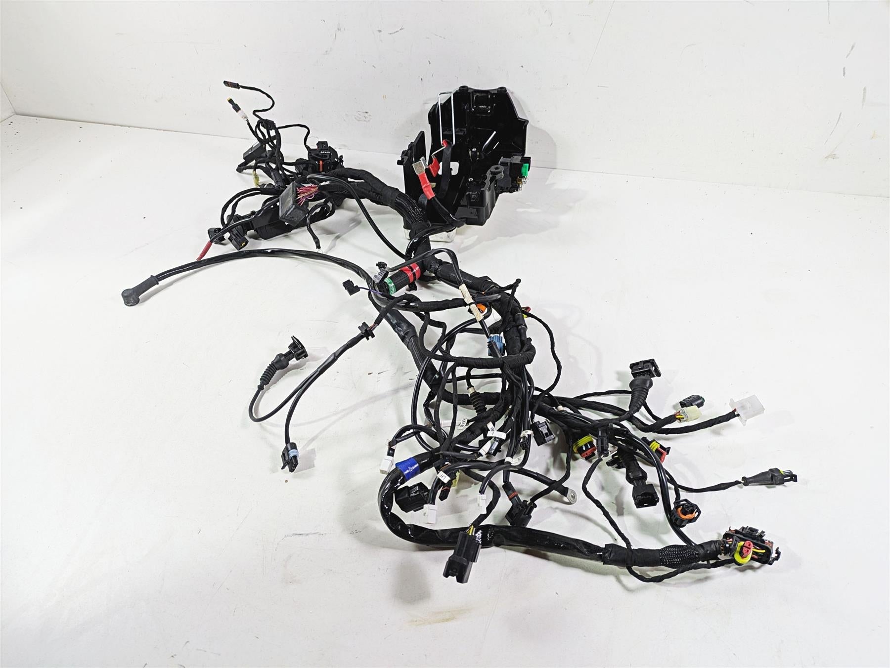 2022 Ducati Scrambler Desert Sled Main Wiring Harness Loom - Read 5101E241C {{ shop.shopifyCountryName }} - Mototech271