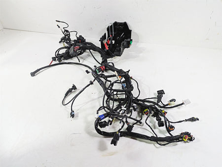 2022 Ducati Scrambler Desert Sled Main Wiring Harness Loom - Read 5101E241C {{ shop.shopifyCountryName }} - Mototech271