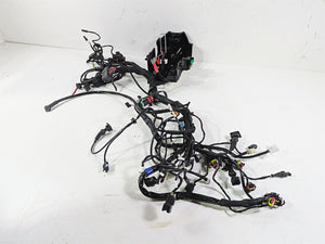 2022 Ducati Scrambler Desert Sled Main Wiring Harness Loom - Read 5101E241C | Mototech271