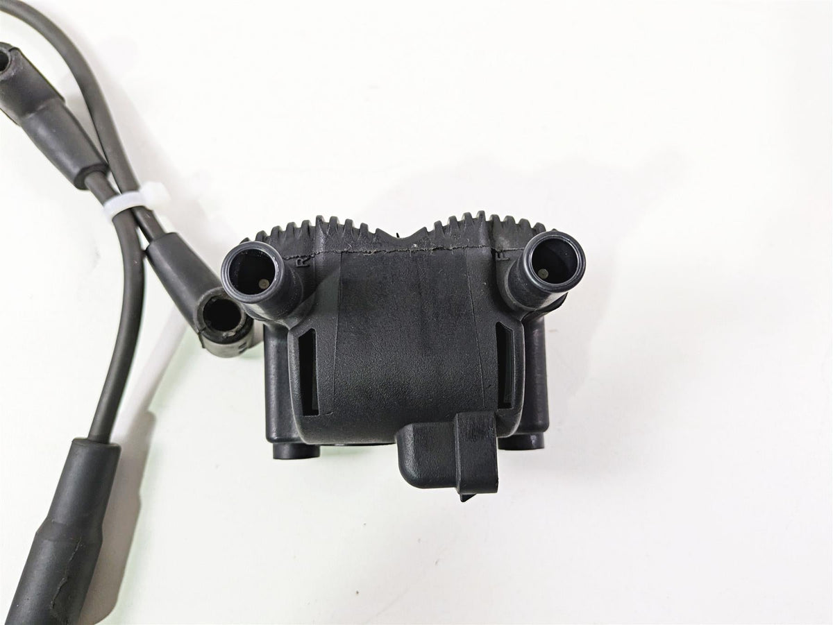 2011 Harley FXDC Dyna Super Glide Delphi Ignition Coil Wires & Plugs 31743-01 {{ shop.shopifyCountryName }} - Mototech271