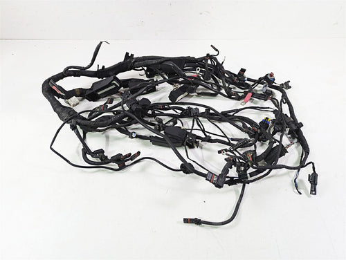 2009 BMW R1200GS K255 Adv Main & Engine Wiring Harness Abs Esa 61117726669 | Mototech271