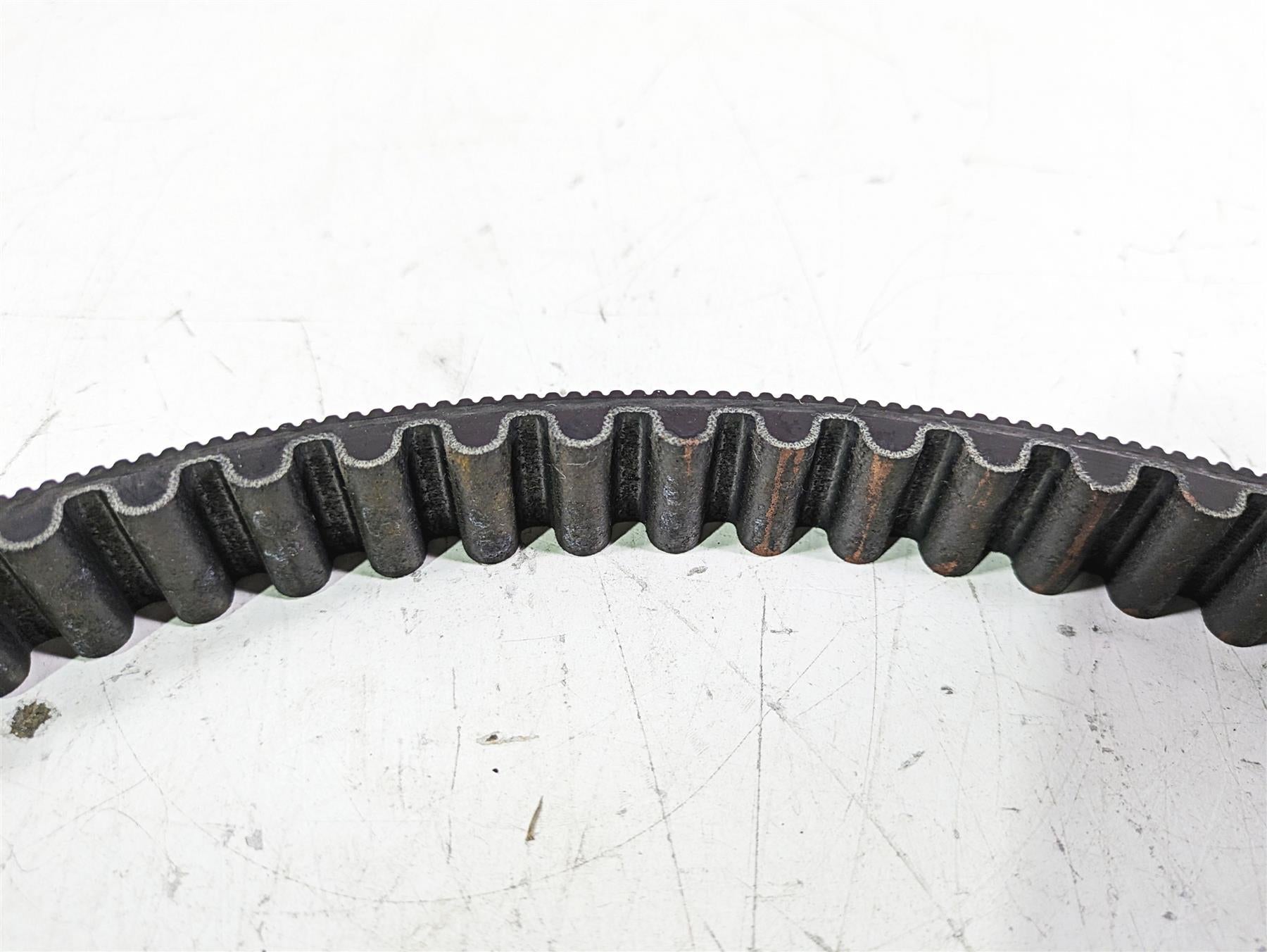 2019 Harley FLHCS Softail Heritage Rear Main Drive Belt 134T 40000018 {{ shop.shopifyCountryName }} - Mototech271