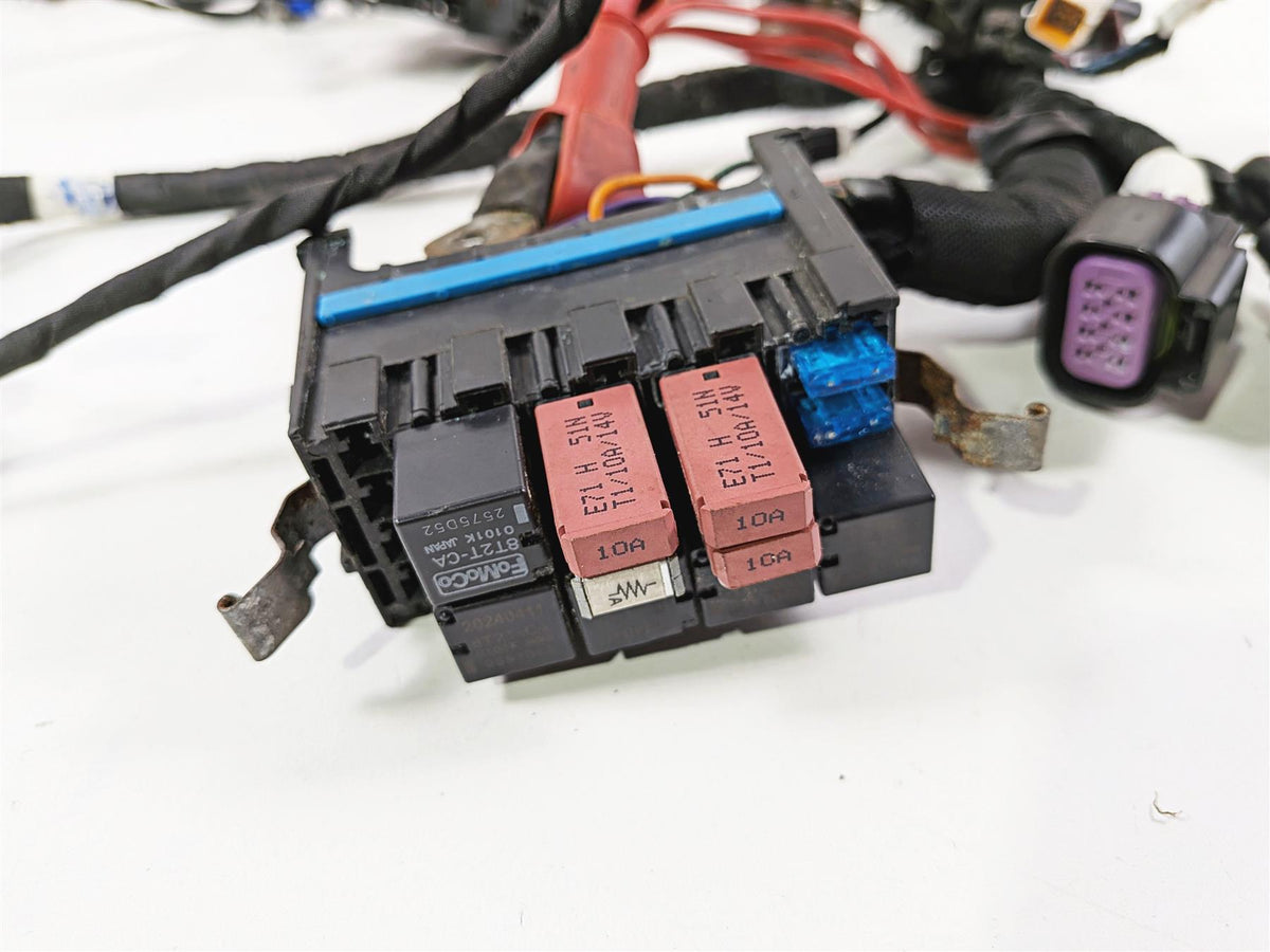 2021 Indian Scout 1200 Wiring Harness Loom No Cuts No Broken Plugs 2415429 {{ shop.shopifyCountryName }} - Mototech271