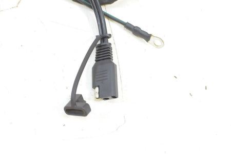 2019 Harley Softail FXLR Low Rider Wiring Harness Loom -Non Abs -No Cuts 6920149 {{ shop.shopifyCountryName }} - Mototech271