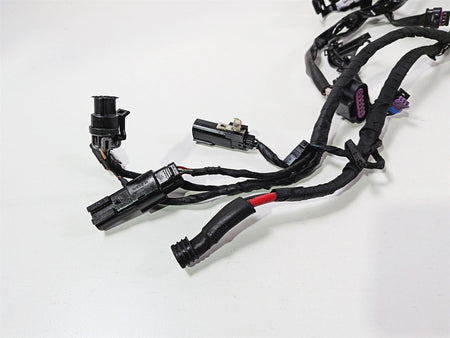 2024 Harley Softail FXLRST Low Rider Main Wiring Harness 117 - No Cuts 69202197 {{ shop.shopifyCountryName }} - Mototech271