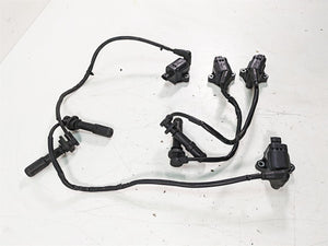 2014 Moto Guzzi California 1400 T Eldor Ignition Coil Plug Wire Set -Read 641901