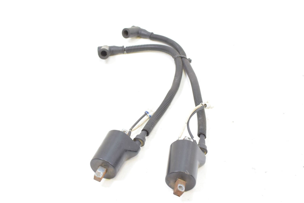 2010 Polaris Dragon RMK 800 S10PG8ESA Ignition Coil Set 4012136 {{ shop.shopifyCountryName }} - Mototech271