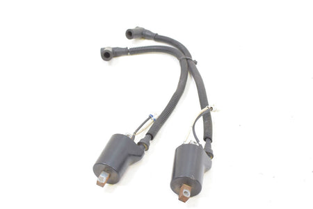 2010 Polaris Dragon RMK 800 S10PG8ESA Ignition Coil Set 4012136 {{ shop.shopifyCountryName }} - Mototech271