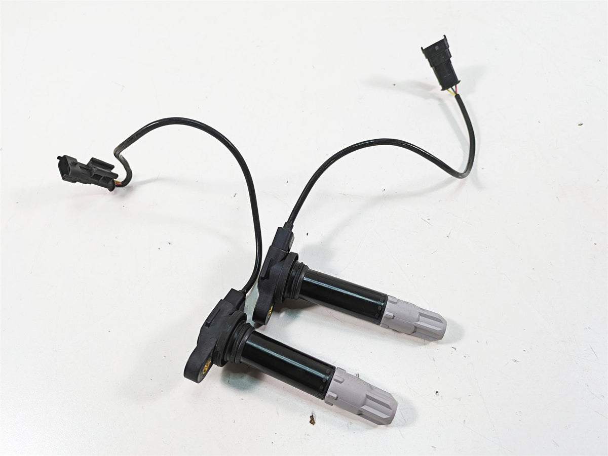 2020 Ducati Hypermotard 950 SP Beru Ignition Coils Stick Coil Set 38010145B {{ shop.shopifyCountryName }} - Mototech271