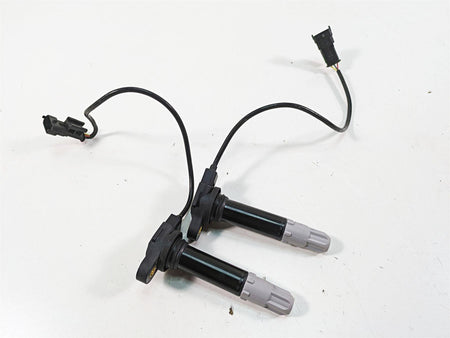 2020 Ducati Hypermotard 950 SP Beru Ignition Coils Stick Coil Set 38010145B {{ shop.shopifyCountryName }} - Mototech271