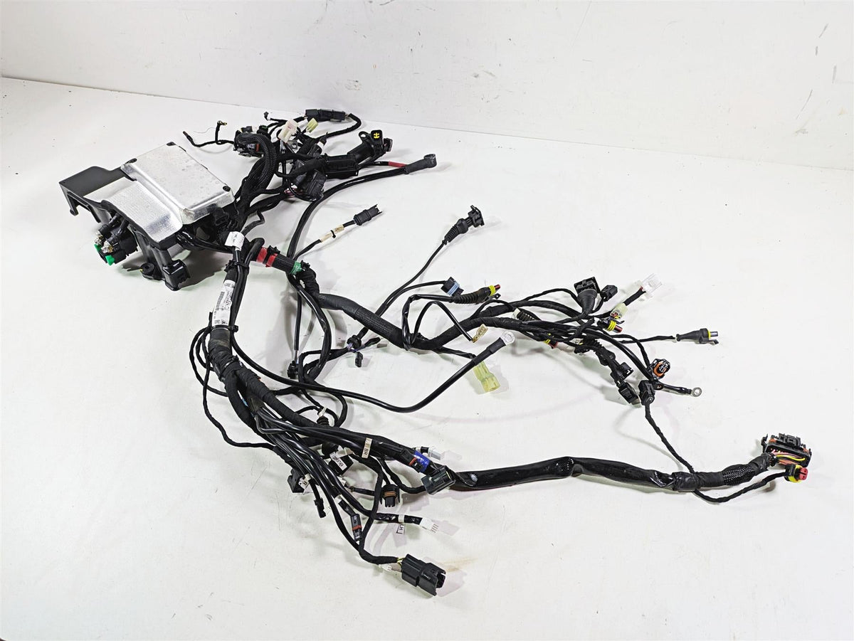 2022 Ducati Scrambler Desert Sled Main Wiring Harness Loom - Read 5101E241C {{ shop.shopifyCountryName }} - Mototech271