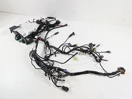 2022 Ducati Scrambler Desert Sled Main Wiring Harness Loom - Read 5101E241C {{ shop.shopifyCountryName }} - Mototech271