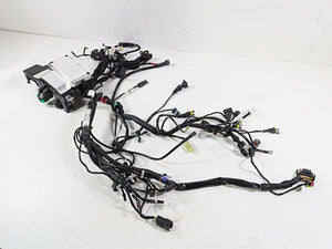 2022 Ducati Scrambler Desert Sled Main Wiring Harness Loom - Read 5101E241C | Mototech271