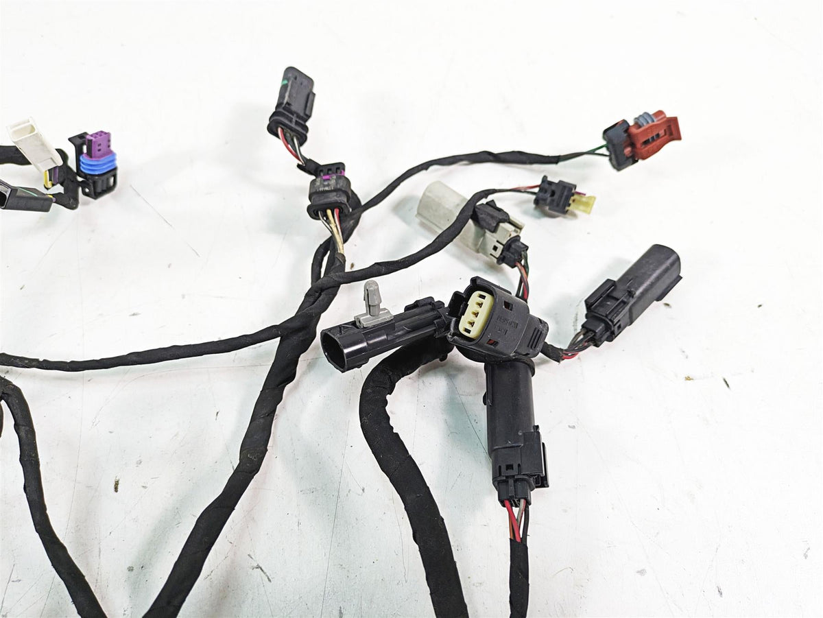 2022 Harley RA1250 S Pan America Engine Wiring Harness Loom - No Cuts 69201899A {{ shop.shopifyCountryName }} - Mototech271