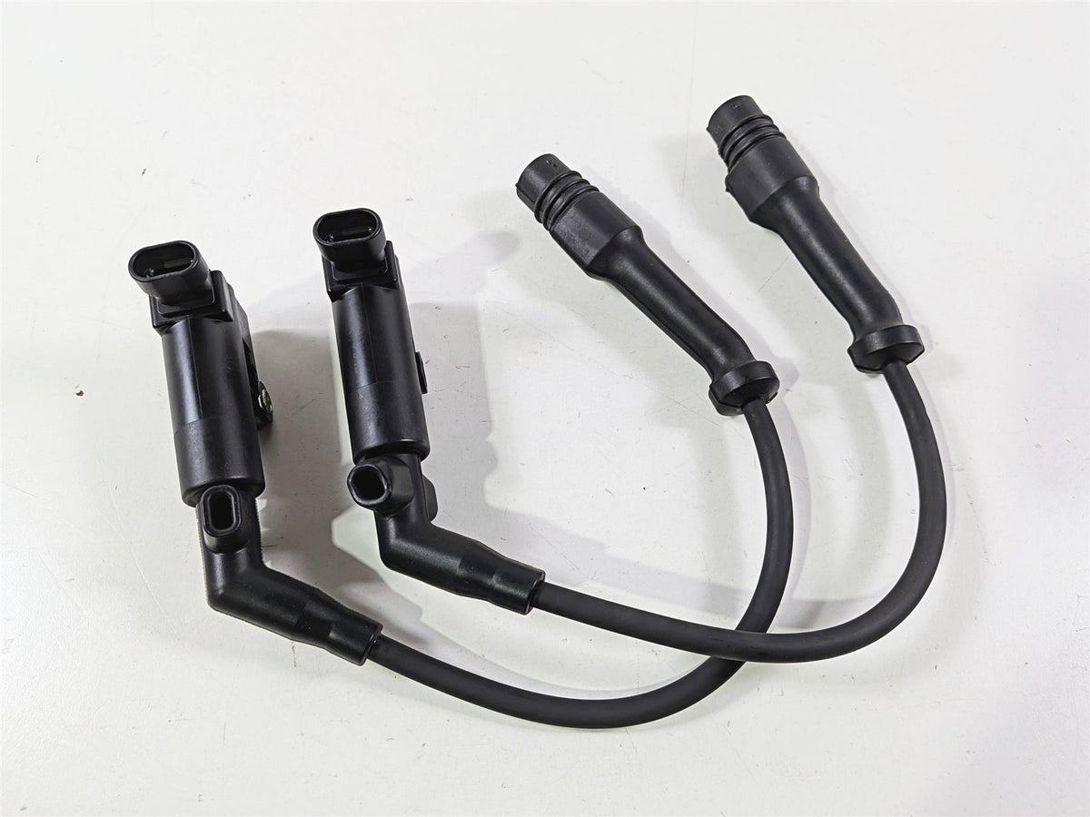 2020 Indian Challenger Limited Oem Delphi Ignition Coil Set 4015300-Mototech271