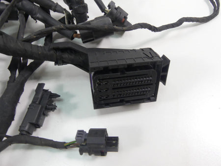 2019 BMW R1250GS K50 Main & Engine Wiring Harness Set - No Esa 61119480783 {{ shop.shopifyCountryName }} - Mototech271