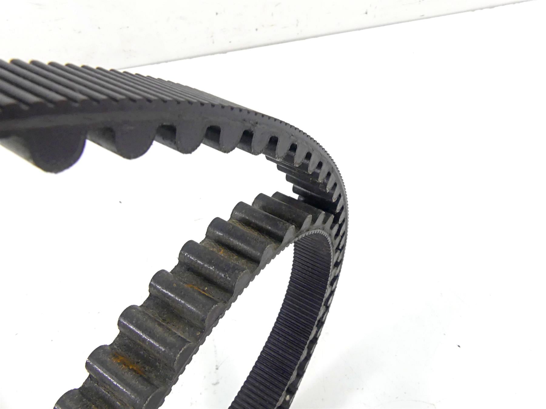 2019 Indian Chieftain Classic Rear Main Drive Belt 125T 24mm 3211168 {{ shop.shopifyCountryName }} - Mototech271