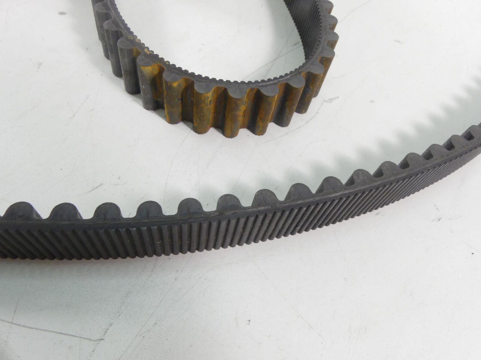 2006 Harley Touring FLHCU SE CVO Rear Main Drive Belt 139T 1-1/8" 40040-05 {{ shop.shopifyCountryName }} - Mototech271