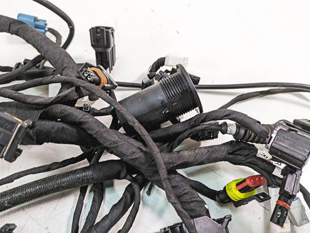 2020 Ducati Scrambler 1100 Sport Pro Wiring Harness Loom -No Cuts 5101F841E {{ shop.shopifyCountryName }} - Mototech271