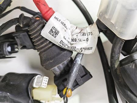 2013 Ducati Hyperstrada 821 Wiring Harness Loom 51018461D {{ shop.shopifyCountryName }} - Mototech271