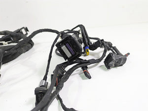 2018 BMW R nineT Urban GS K33 Main & Engine Wiring Harness - No Cuts 61118569727