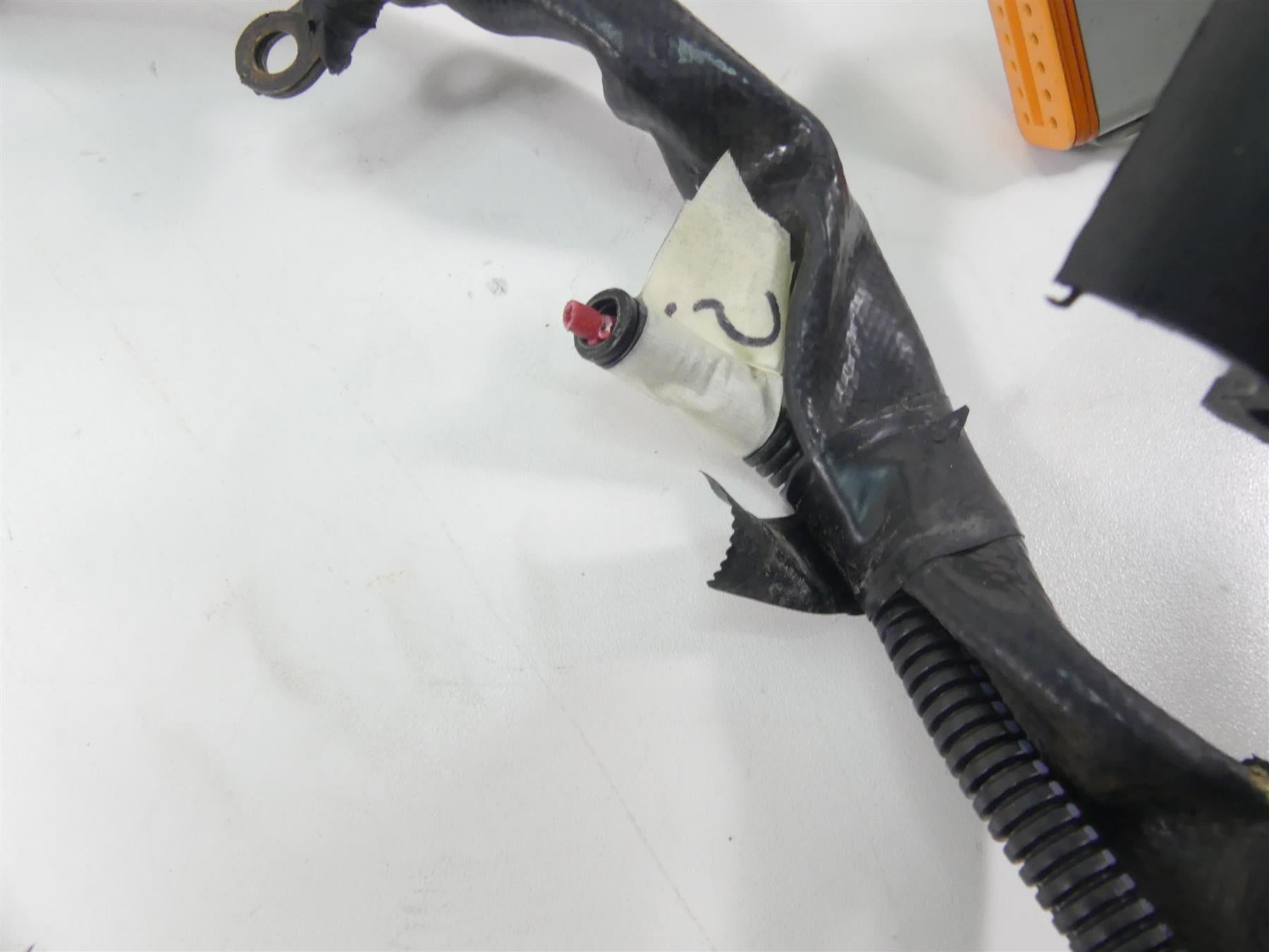 2006 Harley Sportster XL1200 Custom Main Wiring Harness Loom - Read 70139-06 {{ shop.shopifyCountryName }} - Mototech271