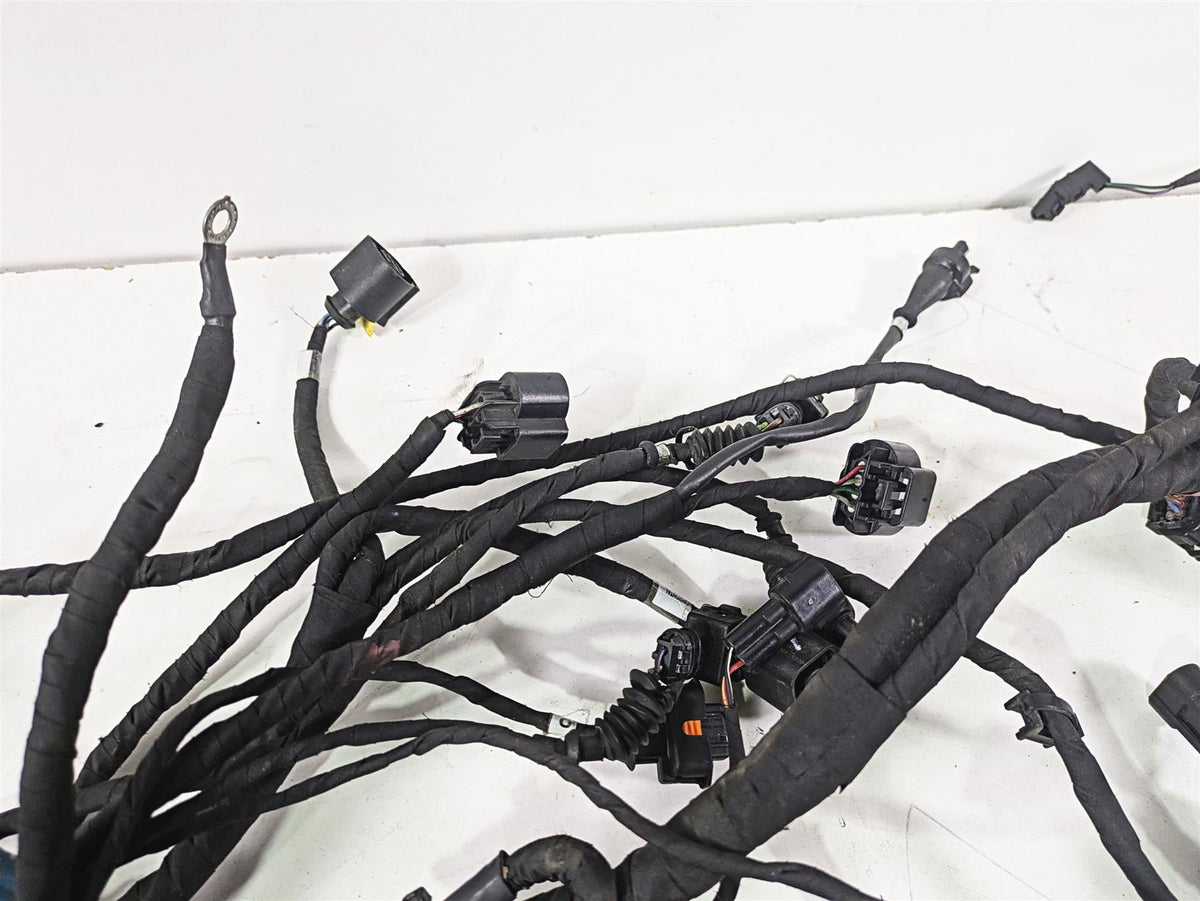 2015 Ducati Hypermotard 821 SP Main Wiring Harness Loom - No Cut 51018451D {{ shop.shopifyCountryName }} - Mototech271